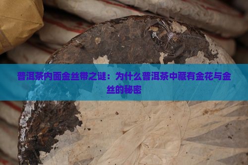 普洱茶内面金丝带之谜：为什么普洱茶中藏有金花与金丝的秘密