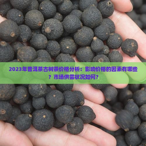2023年普洱茶古树茶价格分析：影响价格的因素有哪些？市场供需状况如何？