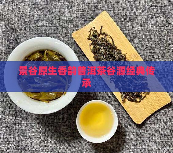 景谷原生香韵普洱茶谷源经典传承