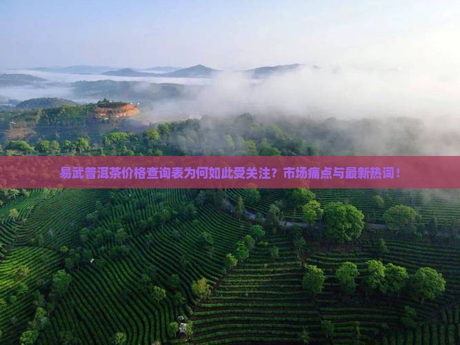 易武普洱茶价格查询表为何如此受关注？市场痛点与最新热词！