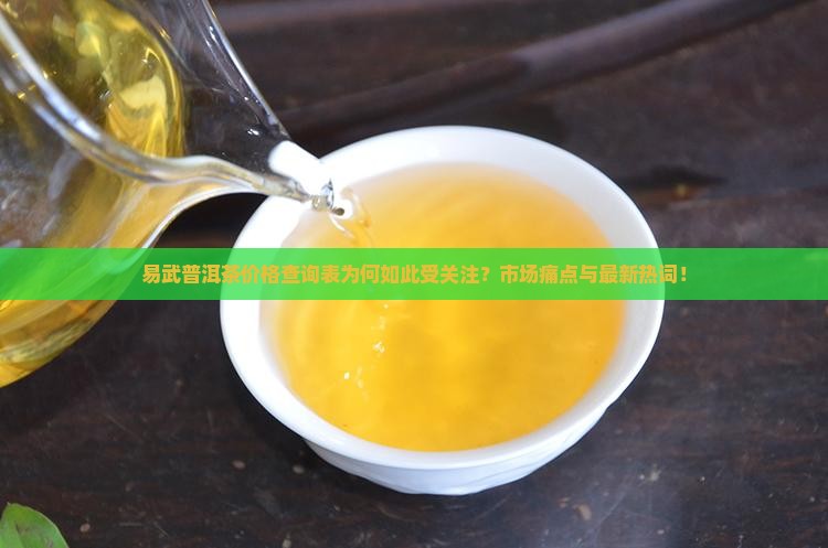 易武普洱茶价格查询表为何如此受关注？市场痛点与最新热词！