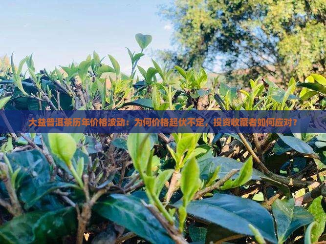 大益普洱茶历年价格波动：为何价格起伏不定，投资收藏者如何应对？