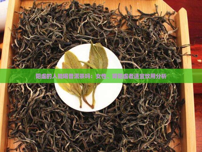 阳虚的人能喝普洱茶吗：女性、肾阳虚者适宜饮用分析