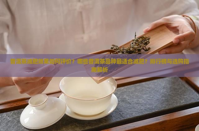 普洱茶减肥效果如何评价？哪些普洱茶品种最适合减肥？排行榜与选购指南解析