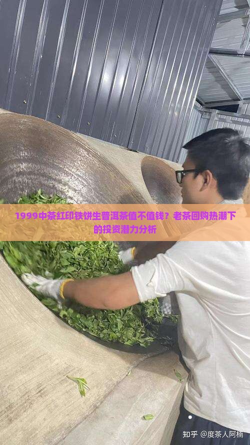 1999中茶红印铁饼生普洱茶值不值钱？老茶回购热潮下的投资潜力分析