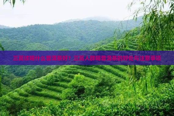 三高该喝什么普洱茶好？三高人群喝普洱茶的好处与注意事项