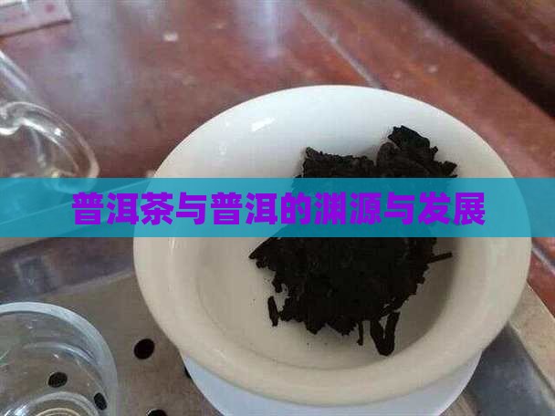 普洱茶与普洱的渊源与发展