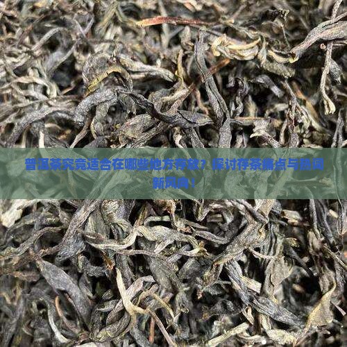 普洱茶究竟适合在哪些地方存放？探讨存茶痛点与热词新风向！
