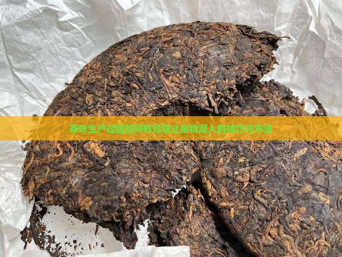 茶叶生产过程如何有效防止杂物混入的技巧与方法