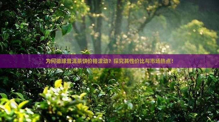 为何德缘普洱茶饼价格波动？探究其性价比与市场热点！