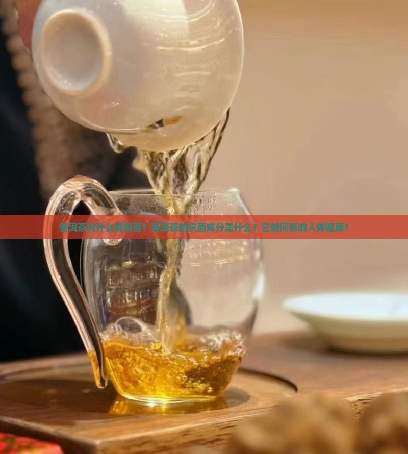 普洱茶为什么能杀菌？普洱茶的抗菌成分是什么？它如何影响人体健康？