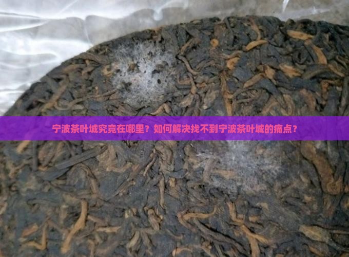 宁波茶叶城究竟在哪里？如何解决找不到宁波茶叶城的痛点？