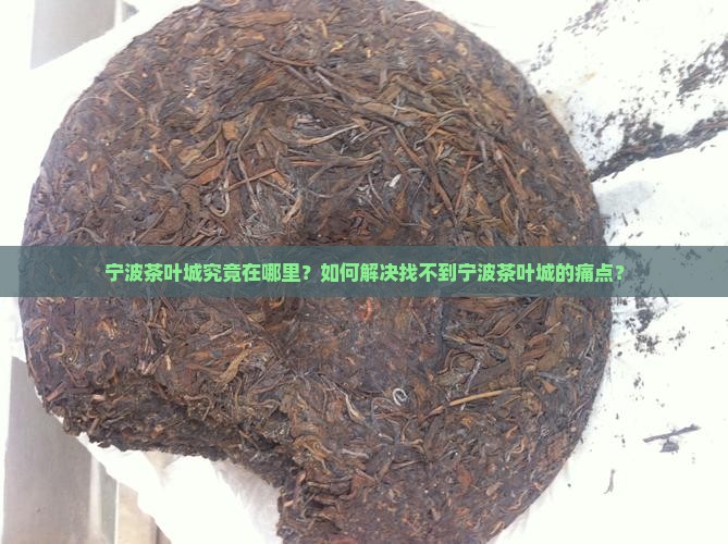 宁波茶叶城究竟在哪里？如何解决找不到宁波茶叶城的痛点？