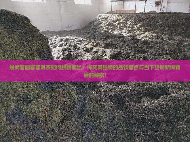 易武普圆春普洱茶如何脱颖而出？探究其独特的品饮痛点与当下热词新词背后的秘密！