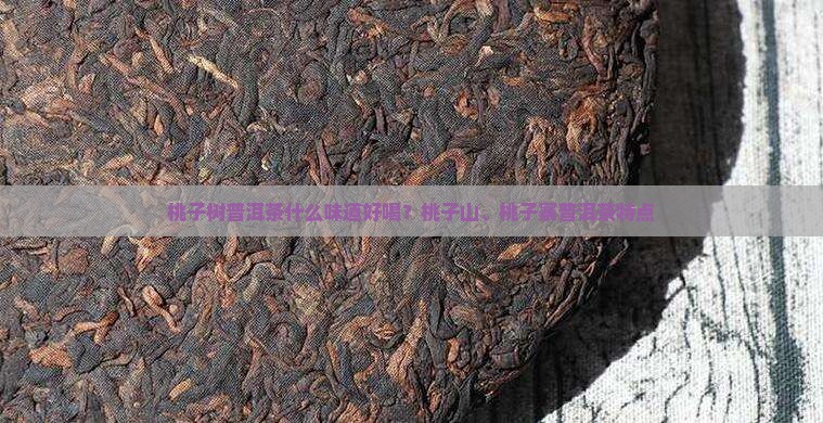桃子树普洱茶什么味道好喝？桃子山、桃子寨普洱茶特点