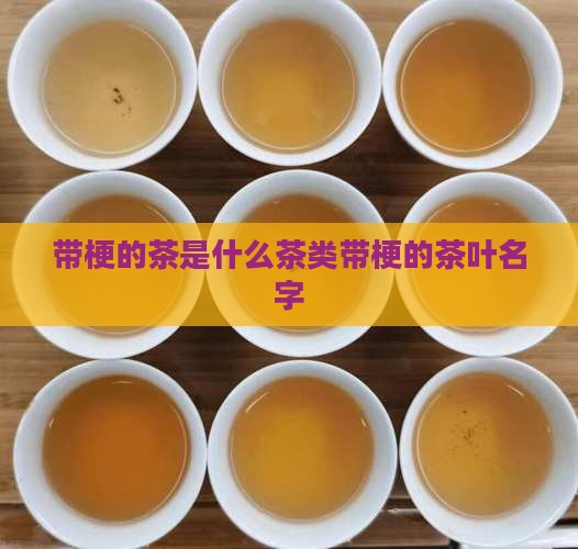带梗的茶是什么茶类带梗的茶叶名字