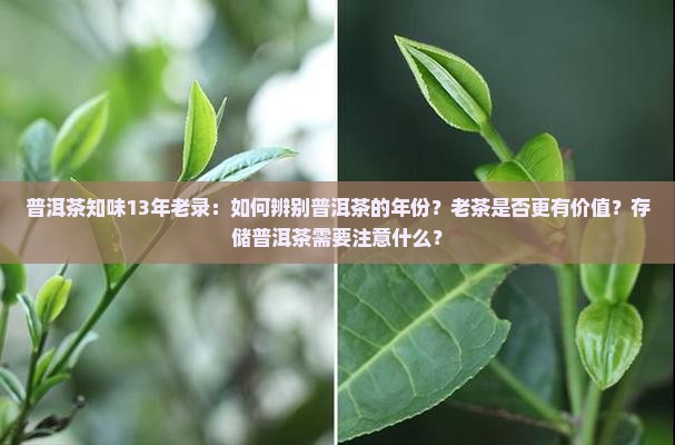 普洱茶知味13年老录：如何辨别普洱茶的年份？老茶是否更有价值？存储普洱茶需要注意什么？