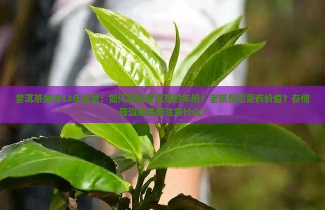 普洱茶知味13年老录：如何辨别普洱茶的年份？老茶是否更有价值？存储普洱茶需要注意什么？