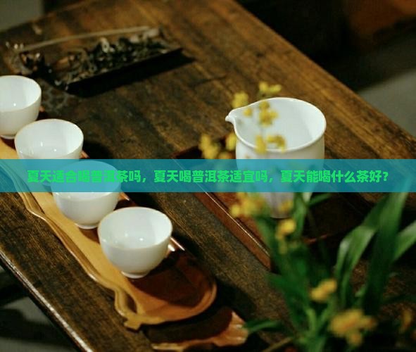 夏天适合喝普洱茶吗，夏天喝普洱茶适宜吗，夏天能喝什么茶好？