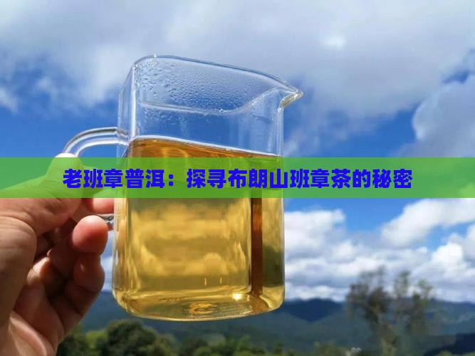 老班章普洱：探寻布朗山班章茶的秘密