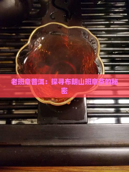 老班章普洱：探寻布朗山班章茶的秘密