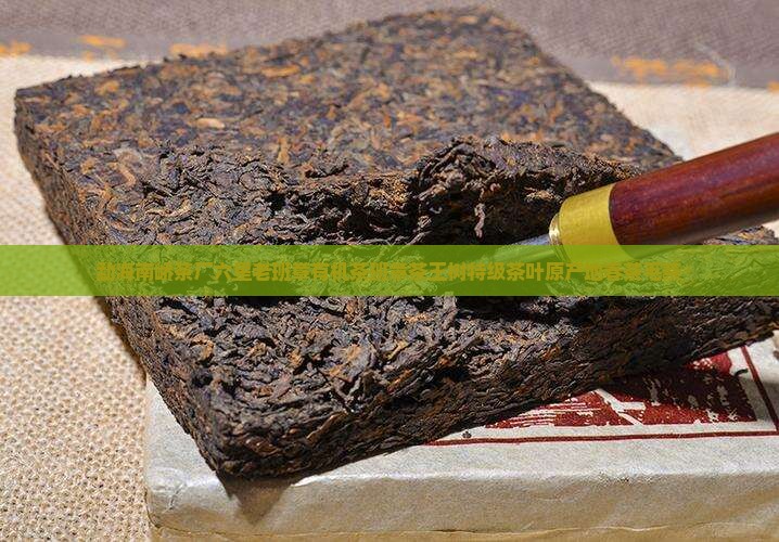 勐海南峤茶厂六星老班章有机茶班章茶王树特级茶叶原产地春茶毛茶