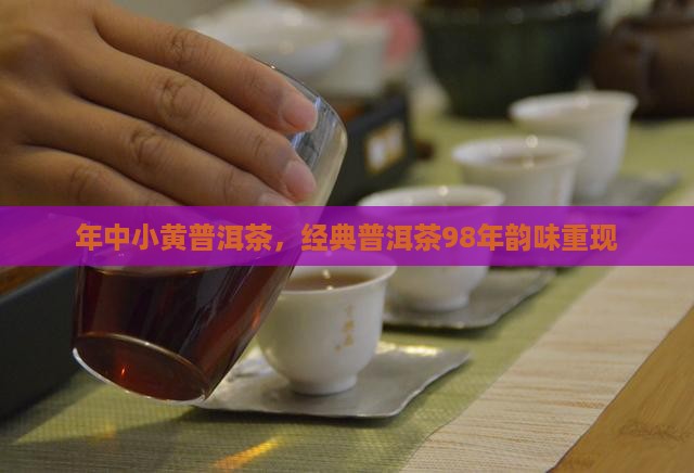 年中小黄普洱茶，经典普洱茶98年韵味重现