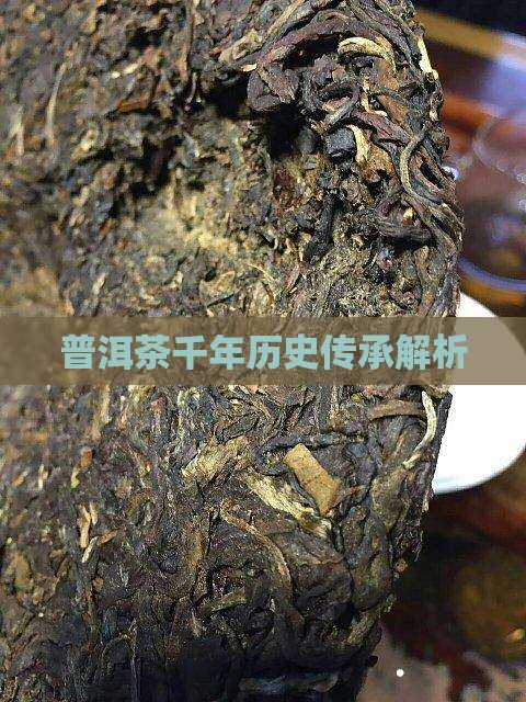 普洱茶千年历史传承解析