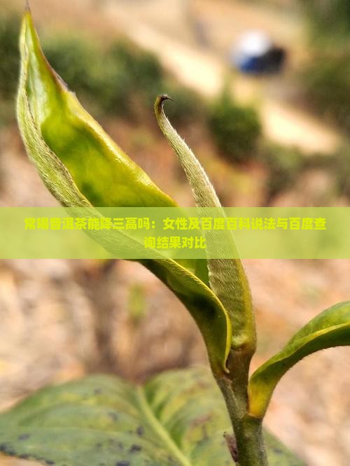常喝普洱茶能降三高吗：女性及百度百科说法与百度查询结果对比