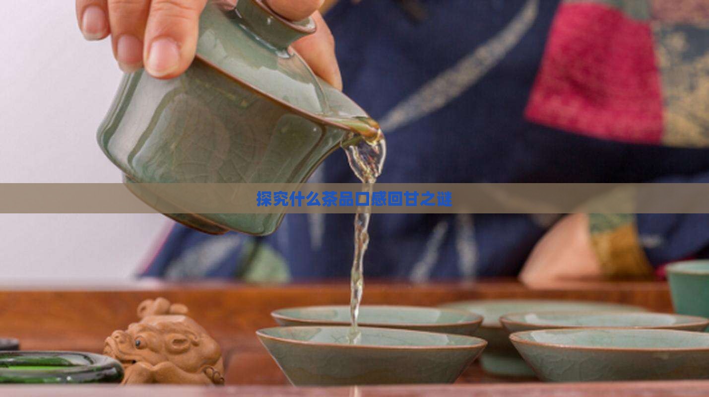 探究什么茶品口感回甘之谜