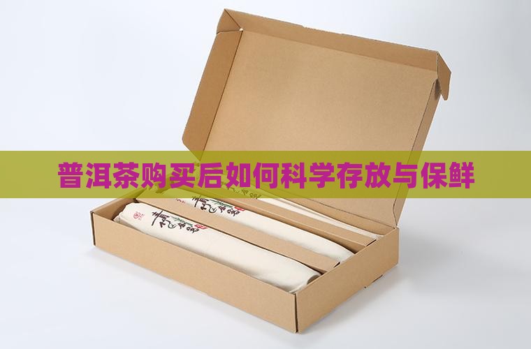 普洱茶购买后如何科学存放与保鲜