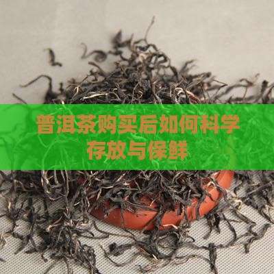 普洱茶购买后如何科学存放与保鲜