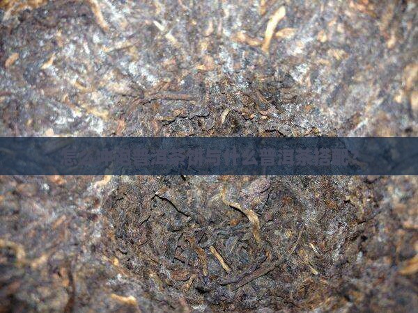 怎么冲泡普洱茶饼与什么普洱茶搭配？