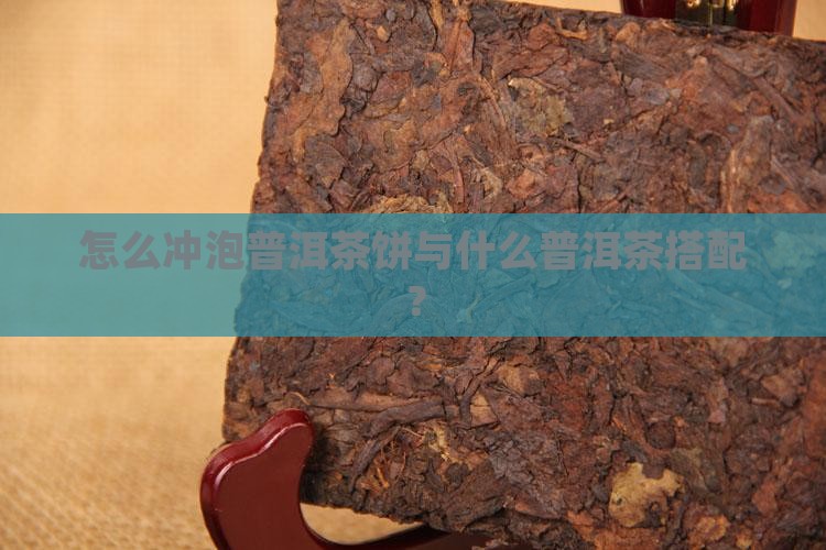 怎么冲泡普洱茶饼与什么普洱茶搭配？