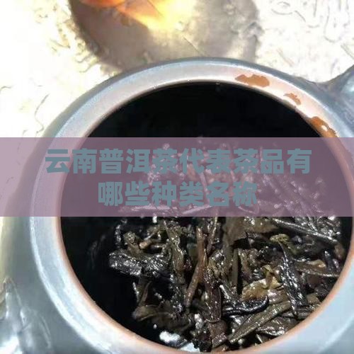 云南普洱茶代表茶品有哪些种类名称