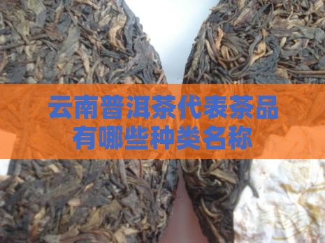 云南普洱茶代表茶品有哪些种类名称