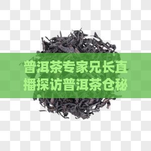 普洱茶专家兄长直播探访普洱茶仓秘境