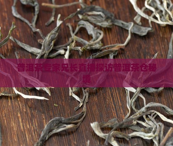 普洱茶专家兄长直播探访普洱茶仓秘境