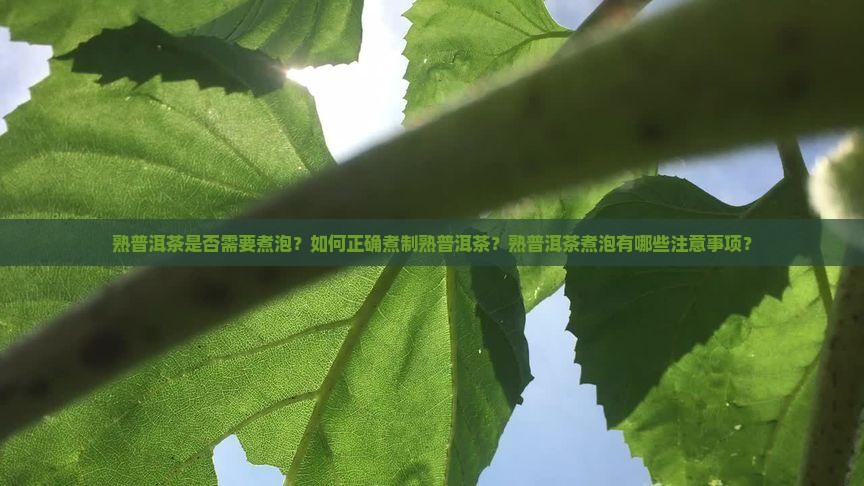 熟普洱茶是否需要煮泡？如何正确煮制熟普洱茶？熟普洱茶煮泡有哪些注意事项？