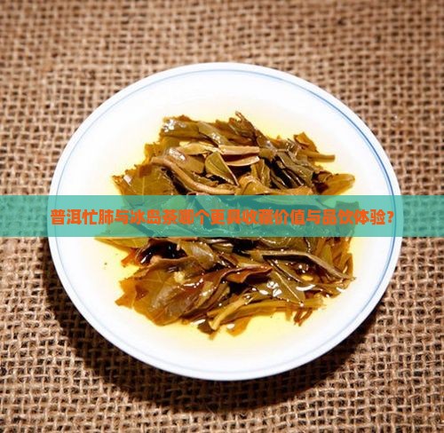 普洱忙肺与冰岛茶哪个更具收藏价值与品饮体验? 普洱忙肺与冰岛茶哪个更具收藏价值与品饮体验?