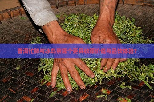 普洱忙肺与冰岛茶哪个更具收藏价值与品饮体验? 普洱忙肺与冰岛茶哪个更具收藏价值与品饮体验?