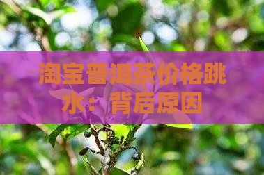淘宝普洱茶价格跳水：背后原因