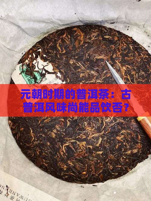 元朝时期的普洱茶：古普洱风味尚能品饮否？