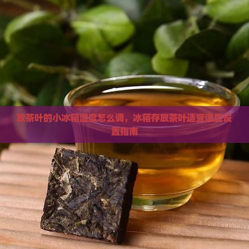 放茶叶的小冰箱温度怎么调，冰箱存放茶叶适宜温度设置指南