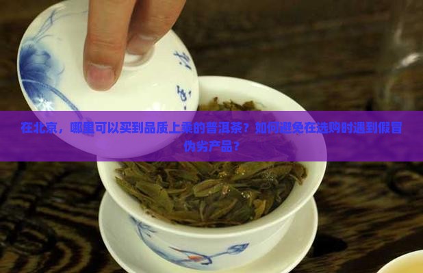 在北京，哪里可以买到品质上乘的普洱茶？如何避免在选购时遇到假冒伪劣产品？