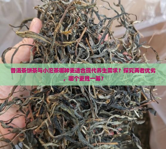 普洱茶饼茶与小沱茶哪种更适合现代养生需求？探究两者优劣，哪个更胜一筹？