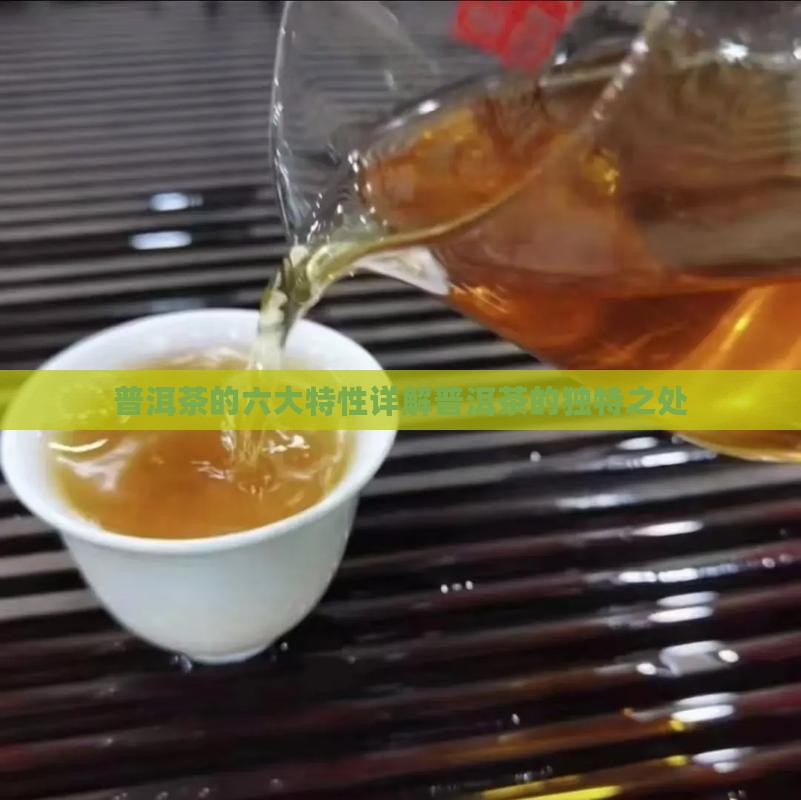 普洱茶的六大特性详解普洱茶的独特之处