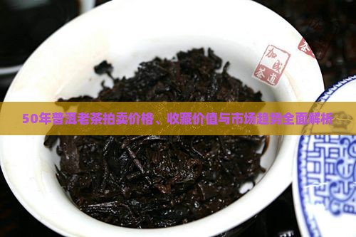 50年普洱老茶拍卖价格、收藏价值与市场趋势全面解析