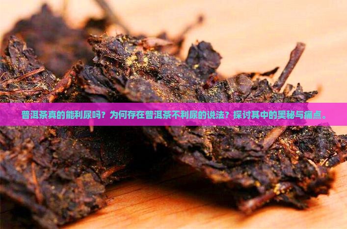 普洱茶真的能利尿吗？为何存在普洱茶不利尿的说法？探讨其中的奥秘与痛点。