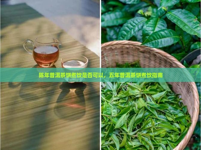 陈年普洱茶饼煮饮是否可以，五年普洱茶饼煮饮指南